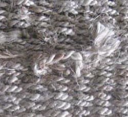 example of carpet sprouts