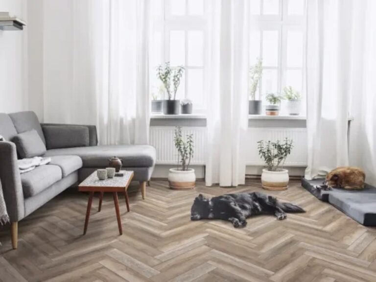 wood flooring in a chevron pattern with a nog napping in the sunshine